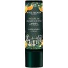 Yves Rocher Mandarin Pine Needles vyživujúci balzam na pery 4,8 g Yves Rocher Mandarin Pine Needles vyživujúci balzam na pery 4,8 g