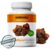 MycoMedica Ohňovec 90 rostlinných kapsúl MycoMedica Ohňovec 90 rostlinných kapsúl