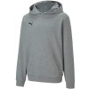 Puma teamGOAL 23 Casuals Hoody Jr 656711 Puma teamGOAL 23 Casuals Hoody Jr 656711