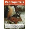 Red Squirrels - Craig M. Shuttleworth Red Squirrels - Craig M. Shuttleworth