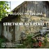 Stretneme sa v pekle (e-book v .doc a .html verzii) - Mariana Michalská Stretneme sa v pekle (e-book v .doc a .html verzii) - Mariana Michalská