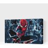 Vymalujsisam.sk Maľovanie podľa čísiel - Spiderman v akcii Veľkosť: 40x60cm, Rám: Na plastovej doske Vymalujsisam.sk Maľovanie podľa čísiel - Spiderman v akcii Veľkosť: 40x60cm, Rám: Na plastovej doske