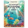Úchvatné potápění po celém světě Poznejte nejúžasnější potápěčské lokality naší planety - Kol Úchvatné potápění po celém světě Poznejte nejúžasnější potápěčské lokality naší planety - Kol