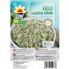 Biomiska Lucerna siata (semienka na klíčenie) , 100 g Biomiska Lucerna siata (semienka na klíčenie) , 100 g