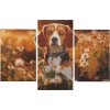 CRAFT ID Diamantové maľovanie na ráme Pes triptych 40 x 20 cm + 30 x 20 cm