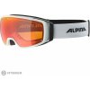 ALPINA DOUBLE JACK PLANET Q-Lite okuliare, biela ALPINA DOUBLE JACK PLANET Q-Lite okuliare, biela