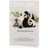 Plagát Diplom Panda – Účasť na živote školy 21x30 Plagát Diplom Panda – Účasť na živote školy 21x30