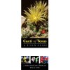 Cacti of Texas: A Field Guide, with Emphasis on the Trans-Pecos Species (A. Michael Powell,James F. Weedin,Shirley A. Powell)(Brožovaná) Cacti of Texas: A Field Guide, with Emphasis on the Trans-Pecos Species (A. Michael Powell,James F. Weedin,Shirley A. Powell)(Brožovaná)
