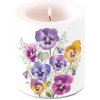 Ambiente Europe BV Sviečka Pansies 10 cm - Ambiente Europe Ambiente Europe BV Sviečka Pansies 10 cm - Ambiente Europe