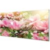 Sklenený obraz kvety 100x50 cm Sklenený obraz kvety 100x50 cm