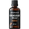 Allnature Esenciální olej Skořice 10 ml