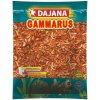 Dajana prírodné krmivo gammarus 0,5-1 cm, 250ml Dajana prírodné krmivo gammarus 0,5-1 cm, 250ml
