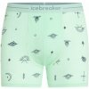 Icebreaker Merino 150 Anatomica Boxers Explore More AOP Men zelená S Icebreaker Merino 150 Anatomica Boxers Explore More AOP Men zelená S