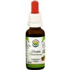 Salvia Paradise Haritaki AF tinktura 30 ml Salvia Paradise Haritaki AF tinktura 30 ml