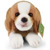 Rappa Plyšový pes bígel ležiaci 20 cm ECO-FRIENDLY Rappa Plyšový pes bígel ležiaci 20 cm ECO-FRIENDLY