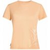 Icebreaker Merino Blend Core SS Tee Panax Women oranžová