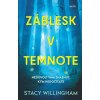 Záblesk v temnote