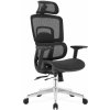 Kancelárska ergonomická stolička Neoseat GARY FULLMESH — čierna, nosnosť 150 kg Kancelárska ergonomická stolička Neoseat GARY FULLMESH — čierna, nosnosť 150 kg