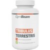 Výživový doplnok GymBeam TRIBULUS TERRESTRIS 120 TABLIET Výživový doplnok GymBeam TRIBULUS TERRESTRIS 120 TABLIET