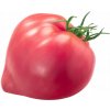 PARADAJKA BYČIE SRDCE Oxheart skorá odolná RajOgrodnika SEMIENKA paradajok PARADAJKA BYČIE SRDCE Oxheart skorá odolná RajOgrodnika SEMIENKA paradajok