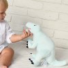 Metoo Metoo Plyšový Tyranosaurus Rex mätový M Metoo Metoo Plyšový Tyranosaurus Rex mätový M