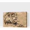 Vymalujsisam.sk Maľovanie podľa čísiel - Lev 2 Veľkosť: 40x60cm, Rám: Na plastovej doske Vymalujsisam.sk Maľovanie podľa čísiel - Lev 2 Veľkosť: 40x60cm, Rám: Na plastovej doske