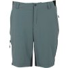 Regatta Eldes Shorts modrá/sivá