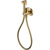 Imex MUNICH podomietková bidetová sprcha+batéria kartáčované zlato RDM001/OC Imex MUNICH podomietková bidetová sprcha+batéria kartáčované zlato RDM001/OC