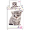Jerry Fabrics Obliečky Kitten Colour 140x200 70x90 Jerry Fabrics Obliečky Kitten Colour 140x200 70x90