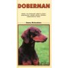 Doberman - Timy Partners Doberman - Timy Partners