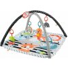 Hracia deka Fisher-Price Hracia Dečka s vydrou 3 v 1 (194735000319) Hracia deka Fisher-Price Hracia Dečka s vydrou 3 v 1 (194735000319)
