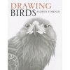 Drawing Birds Drawing Birds