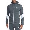 Puma pánska mikina 678995 veľkosť M Puma pánska mikina 678995 veľkosť M