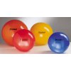 Physio Ball Standard 120cm
