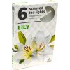 Admit Lily čajové vonné sviečky 6ks Admit Lily čajové vonné sviečky 6ks