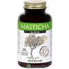 MASTICHA ACTIVE - Apothecary cps 1x100 ks MASTICHA ACTIVE - Apothecary cps 1x100 ks
