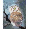 Diamondi Diamantové maľovanie - ZIMNÁ SOVA Rámovanie: bez rámu a bez vypnutia plátna, Rozmer: 40x50 cm Diamondi Diamantové maľovanie - ZIMNÁ SOVA Rámovanie: bez rámu a bez vypnutia plátna, Rozmer: 40x50 cm