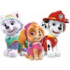 Nickelodeon Nástenná dekorácia Paw Patrol, Everest, Skye, Marshall Nickelodeon Nástenná dekorácia Paw Patrol, Everest, Skye, Marshall