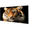 Nástenný panel tiger 100x50 cm Nástenný panel tiger 100x50 cm