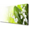 Obraz Canvas Konvalinky listy kvety lúka 100x50 cm Obraz Canvas Konvalinky listy kvety lúka 100x50 cm