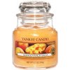 Yankee Candle Classic Mango Peach Salsa 411 g