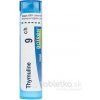 Thymuline gra.1 x 4 g 9CH