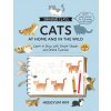 Drawing Class: Cats at Home and in the Wild Drawing Class: Cats at Home and in the Wild