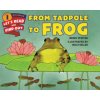 From Tadpole to Frog From Tadpole to Frog