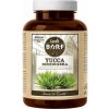 CANVIT BARF Yucca Schidigera pre psov 160 g CANVIT BARF Yucca Schidigera pre psov 160 g