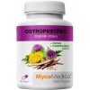 MycoMedica Pestrec, 90 kapsúl MycoMedica Pestrec, 90 kapsúl