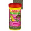 Dajana Micro flora 100 ml Dajana Micro flora 100 ml