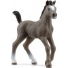 SCHLEICH Horse Club® 13957 Kôň Selle Français - žriebä SCHLEICH Horse Club® 13957 Kôň Selle Français - žriebä