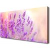 Obraz Canvas Levanduľovej pole slnko kvety 100x50 cm Obraz Canvas Levanduľovej pole slnko kvety 100x50 cm