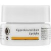 Dr. Hauschka Lip Balm výživný balzam na pery 4,5 ml Dr. Hauschka Lip Balm výživný balzam na pery 4,5 ml